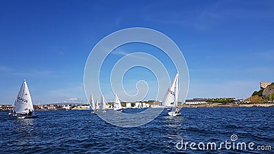 UK National and Open Laser Championships at Mount Batten Centre for Watersports Editorial Stock Photo