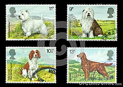 UK postage stamps of Dogs Editorial Stock Photo