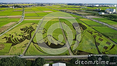 Ukiyoe art on a paddy field Editorial Stock Photo