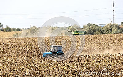 UKRAINE, ODESSA - September 9, 2023: A combine harvester in a ripe sunflower field collects sunflower seeds on a sunny autumn day Editorial Stock Photo