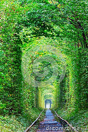 Ukraine, tunnel of lovers Stock Photo