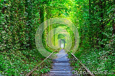 Ukraine, tunnel of lovers Stock Photo