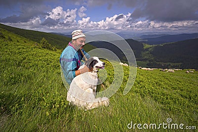 A flock of sheep on a mountain Editorial Stock Photo