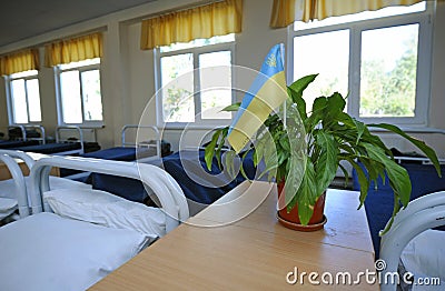 Ukrainian national flag put in a potted plant, well-made beds in the bedroom of the barrack for soldiers, nobody Editorial Stock Photo