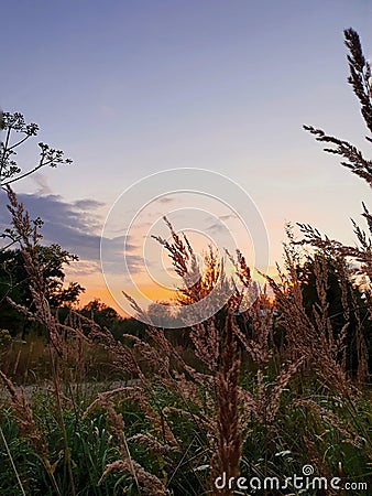 Ukrainian spike lets with a beautiful sunset Stock Photo