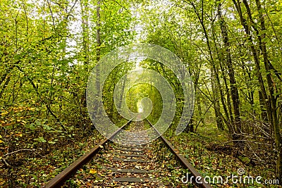 Ukrainian Tunnel of Love in Klevan at the End of Summer Stock Photo