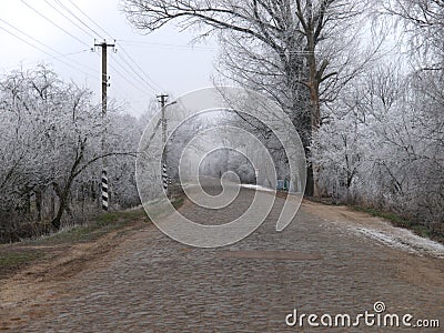 Ukrainian village in winter. Village road and trees in hoarfrost Stock Photo