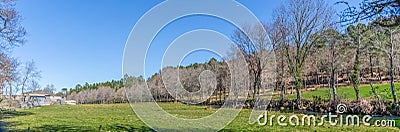 Ultra panoramic view, farm grass, close to the river with parallel trees Stock Photo
