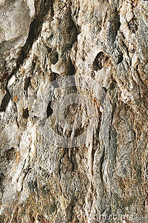 Closeup of a deeply fissured stone Stock Photo