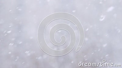 Ultrarapidbakgrund av att blåsa för snönedgång som är snabbt i vinterdag stock video Ultrarapidbakgrund av att blåsa för snönedgång som är snabbt i vinterdag stock video
