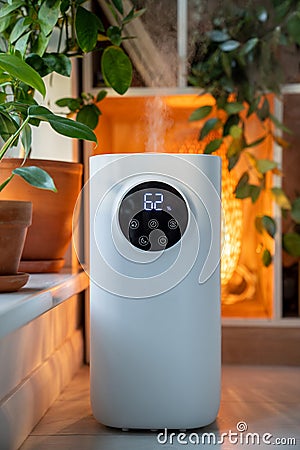 Ultrasonic humidifier near windowsill with potted houseplants flowers spraying water vapor. Stock Photo