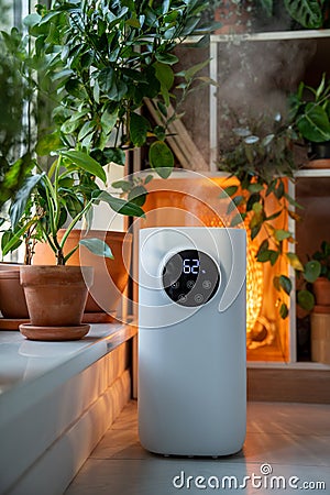 Ultrasonic humidifier near windowsill with potted houseplants flowers spraying water vapor. Stock Photo