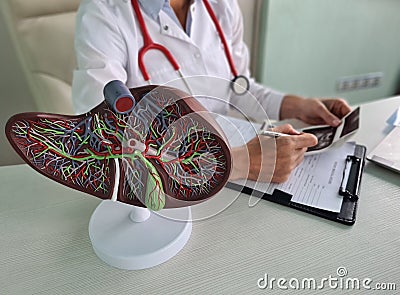 Ultrasound diagnosis of stomach and liver on abdominal cavity of in clinic Stock Photo