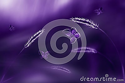 Ultraviolet natural fasionable background. Butterflies in flight. Stock Photo