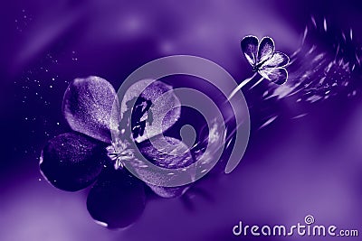 Ultraviolet natural fasionable background. Flowers and butterfly in motion Stock Photo