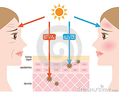 Ultraviolet rays Vector Illustration