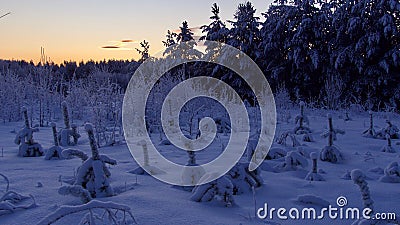 ultraviolet winter landscape with empty space for text Stock Photo