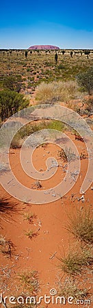 Uluru, Ayers rock. Vertical panorama, Australian landmark Editorial Stock Photo
