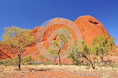 Uluru Kata Tjuta National Park Australia Editorial Stock Photo