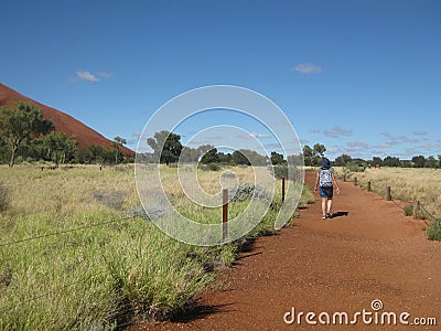 Hiker walking the 10km track, Uluru base walk trail Editorial Stock Photo