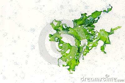 Sea lettuce green alga and air bubbles in the water Stock Photo