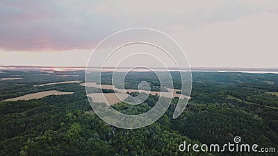 Um voo maravilhoso à floresta bonita perto do rio largo Vista aérea da floresta do pinho no verão Bonito filme Um voo maravilhoso à floresta bonita perto do rio largo Vista aérea da floresta do pinho no verão Bonito filme