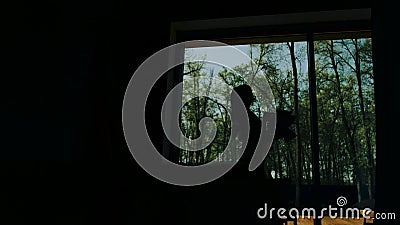 Uma menina bonita está em uma sala espaçoso contra uma grande janela clara Veja de sua silhueta Quadro muito bonito e à moda filme Uma menina bonita está em uma sala espaçoso contra uma grande janela clara Veja de sua silhueta Quadro muito bonito e à moda filme