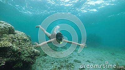 Uma moça-snorkeler nadando debaixo de água no oceano azul profundo cheio de corais vídeos de arquivo Uma moça-snorkeler nadando debaixo de água no oceano azul profundo cheio de corais vídeos de arquivo