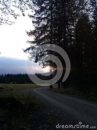 Sunset at clearence of the forest Stock Photo