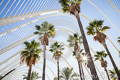 umbracle modern palm tree park in Valencia Spain Editorial Stock Photo