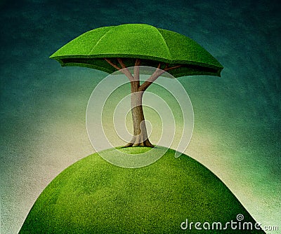 Umbrella tree Stock Photo