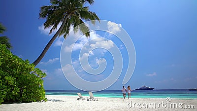 Un couple affectueux appréciant des vacances sur la plage tropicale Mouvement lent clips vidéos Un couple affectueux appréciant des vacances sur la plage tropicale Mouvement lent clips vidéos