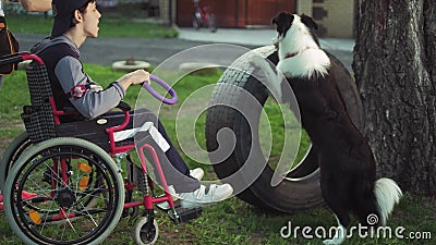 Un handicapé joue avec un chien, la thérapie de canitis, traitement d'incapacité par la formation avec un chien, homme dans a clips vidéos Un handicapé joue avec un chien, la thérapie de canitis, traitement d'incapacité par la formation avec un chien, homme dans a clips vidéos