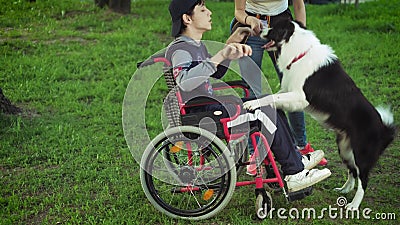 Un handicapé joue avec un chien, la thérapie de canitis, traitement d'incapacité par la formation avec un chien, homme dans a banque de vidéos Un handicapé joue avec un chien, la thérapie de canitis, traitement d'incapacité par la formation avec un chien, homme dans a banque de vidéos