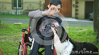 Un handicapé joue avec un chien, la thérapie de canitis, traitement d'incapacité par la formation avec un chien, homme dans a banque de vidéos Un handicapé joue avec un chien, la thérapie de canitis, traitement d'incapacité par la formation avec un chien, homme dans a banque de vidéos