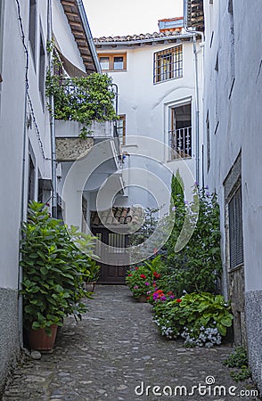 Un hermoso callejÃ³n sin salida adornado con verdes macetas y casas de fachada blanca en la villa de Candelario, EspaÃ±a Editorial Stock Photo