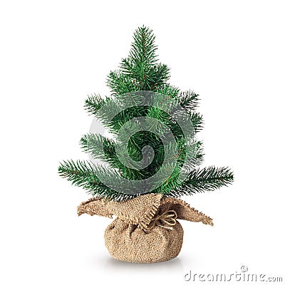 Unadorned Christmas tree isolated on white background with reflection and soft shadow. Small artifical spruce tree in Stock Photo