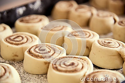 Unbaked cinnamon rolls, ready to go into the oven Stock Photo