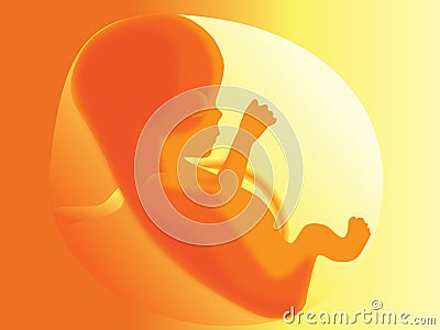 Unborn baby Vector Illustration