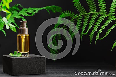 Unbranded bottle with oil for hair on pedestal. Transparent glass container with dispenser on natural background. Advertisement. Stock Photo