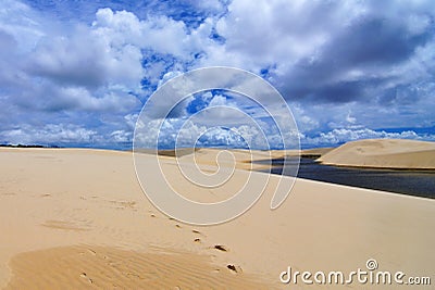 Uncommon Desert Stock Photo