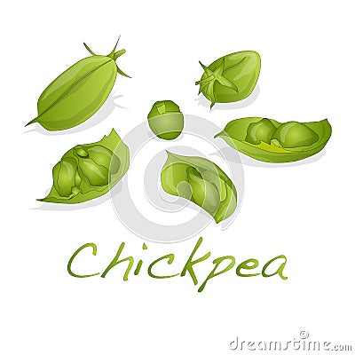 Uncooked chickpeas on white background Vector Illustration