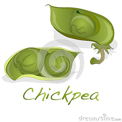 Uncooked chickpeas on white background Vector Illustration