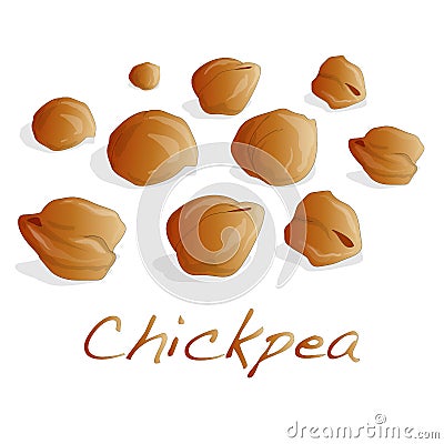 Uncooked chickpeas on white background Vector Illustration
