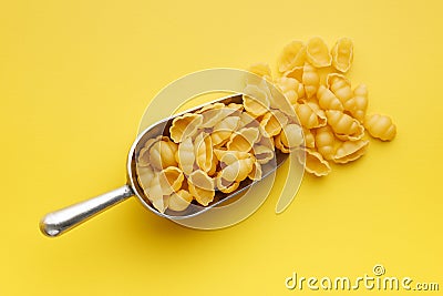 Uncooked gnocchi pasta. Raw italian pasta in scoop on yellow background Stock Photo
