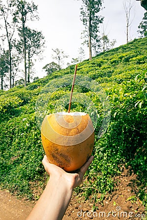 Uncovered King Coconut Stock Photo