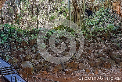 Undara Lava Tubes Delicate Ecosystem On Tour Australia Stock Photo