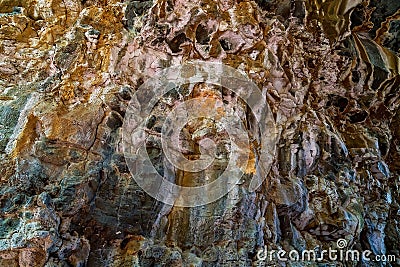 Undara Lava Tubes Delicate Ecosystem On Tour Australia Stock Photo