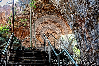 Undara Lava Tubes Delicate Ecosystem On Tour Australia Stock Photo