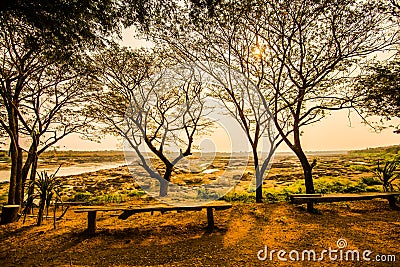 Under deciduous trees 3 Stock Photo